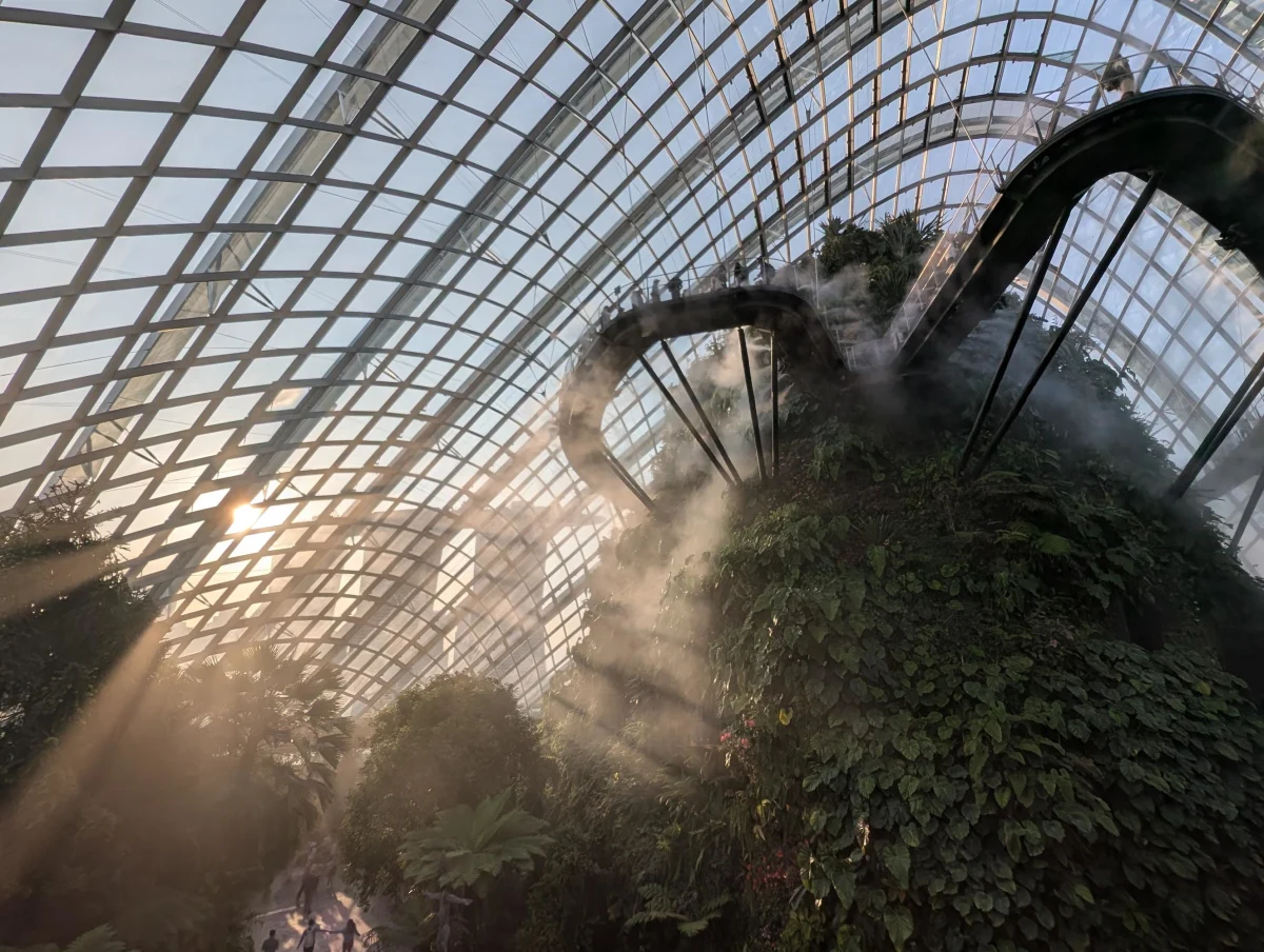 sg cloudforest mist view wpceis - Hallo Singapur!