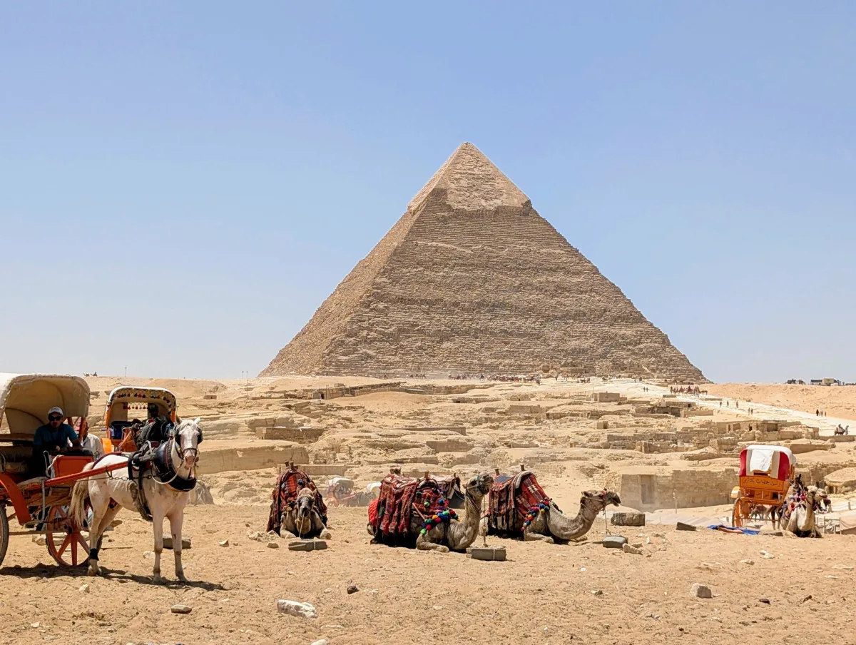 51_cairo_pyramid_camels_horse_dl7ih6 - Hallo Kairo!