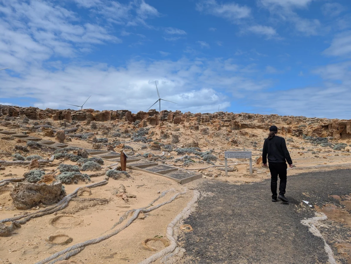 oceanroad bridgewater plain mvthka - Roadtrip!