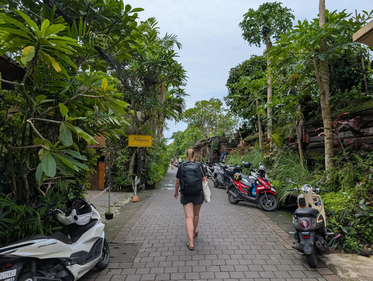 56_bali_ubud_street_anna_ruxebk - Hallo Bali!