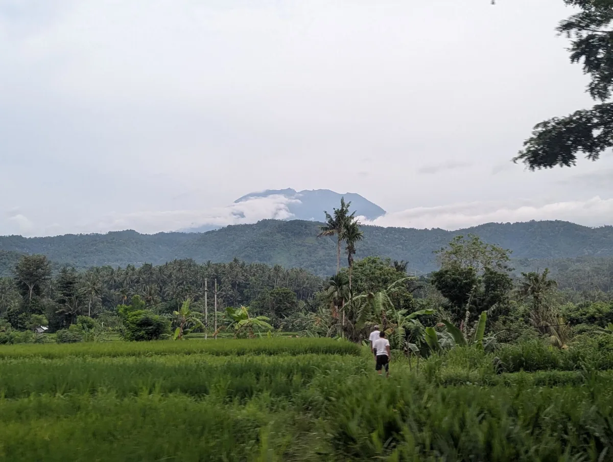 bali roadtrip 1 chjafx - Hallo Bali!