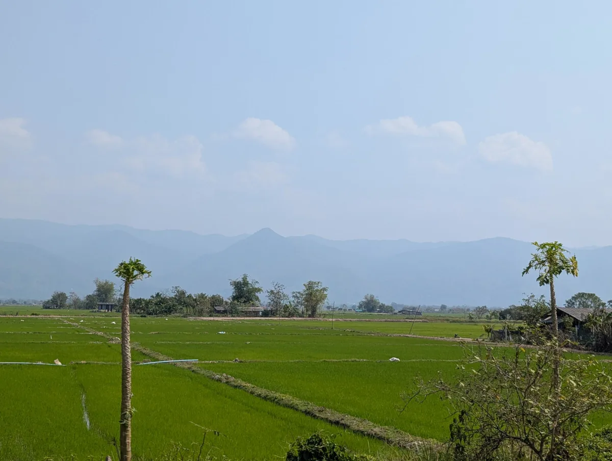chiangrai bus view 2 lgkwnb - Thailands Norden
