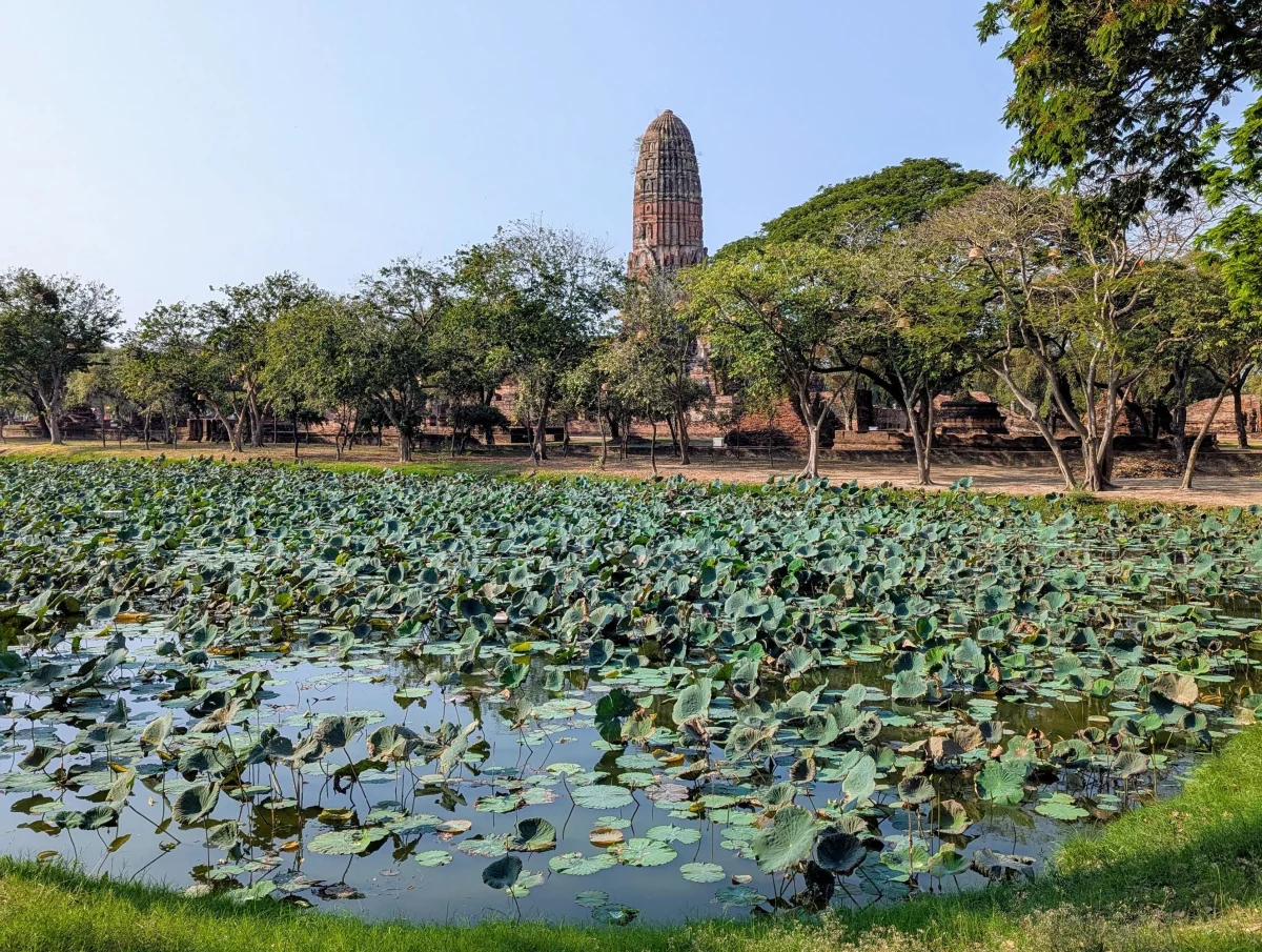 ayutthaya watphraram pond mw3ese - Nochmal Bangkok