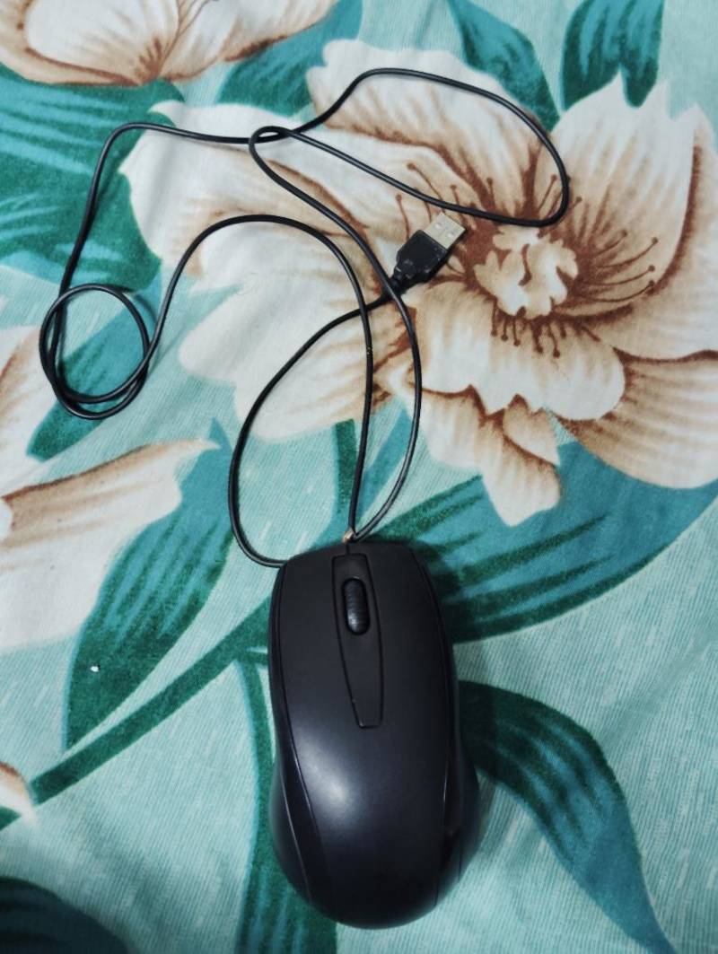 Zebronics black mouse