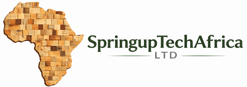 SpringUpTech Africa | Infrastructure-as-a-Service for Startups ...