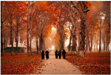 Autumn in Kashmir