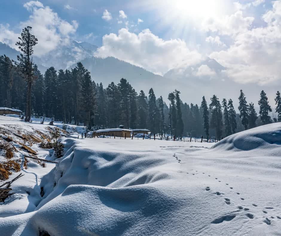 Jammu Kashmir First Snowfall