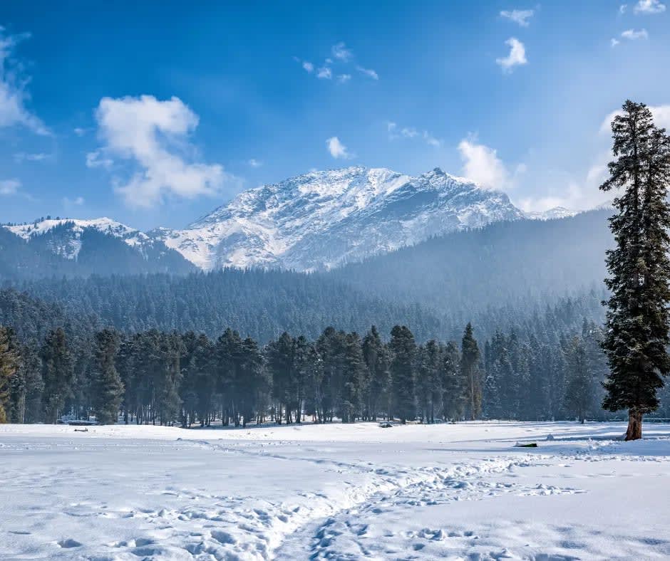 Jammu Kashmir First Snowfall
