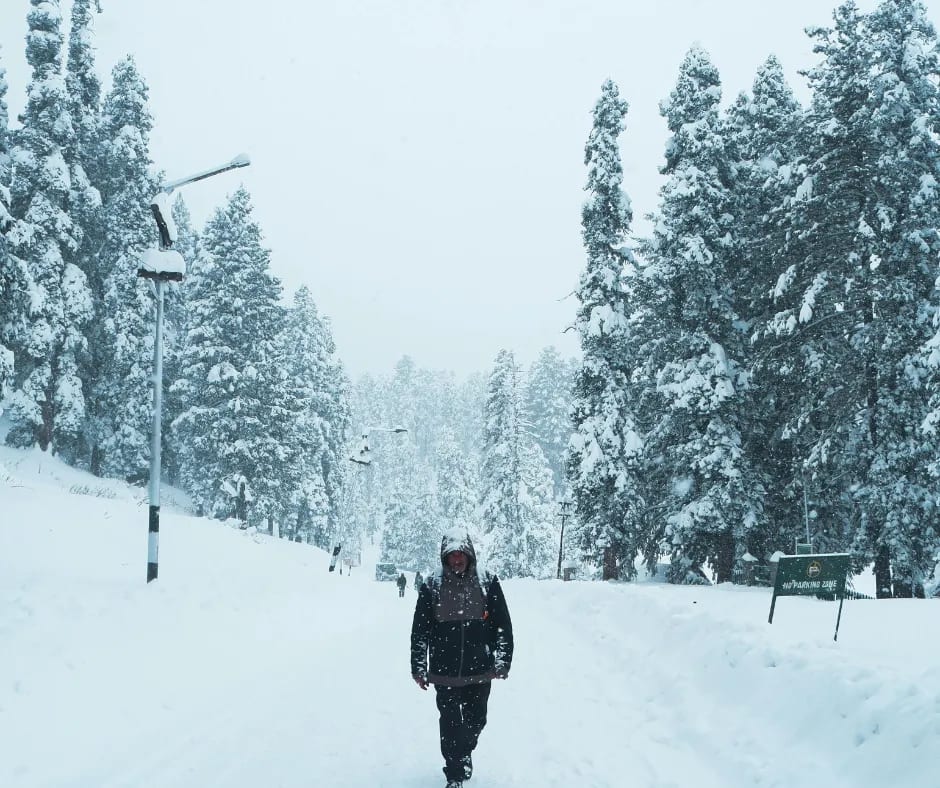 Kashmir 3