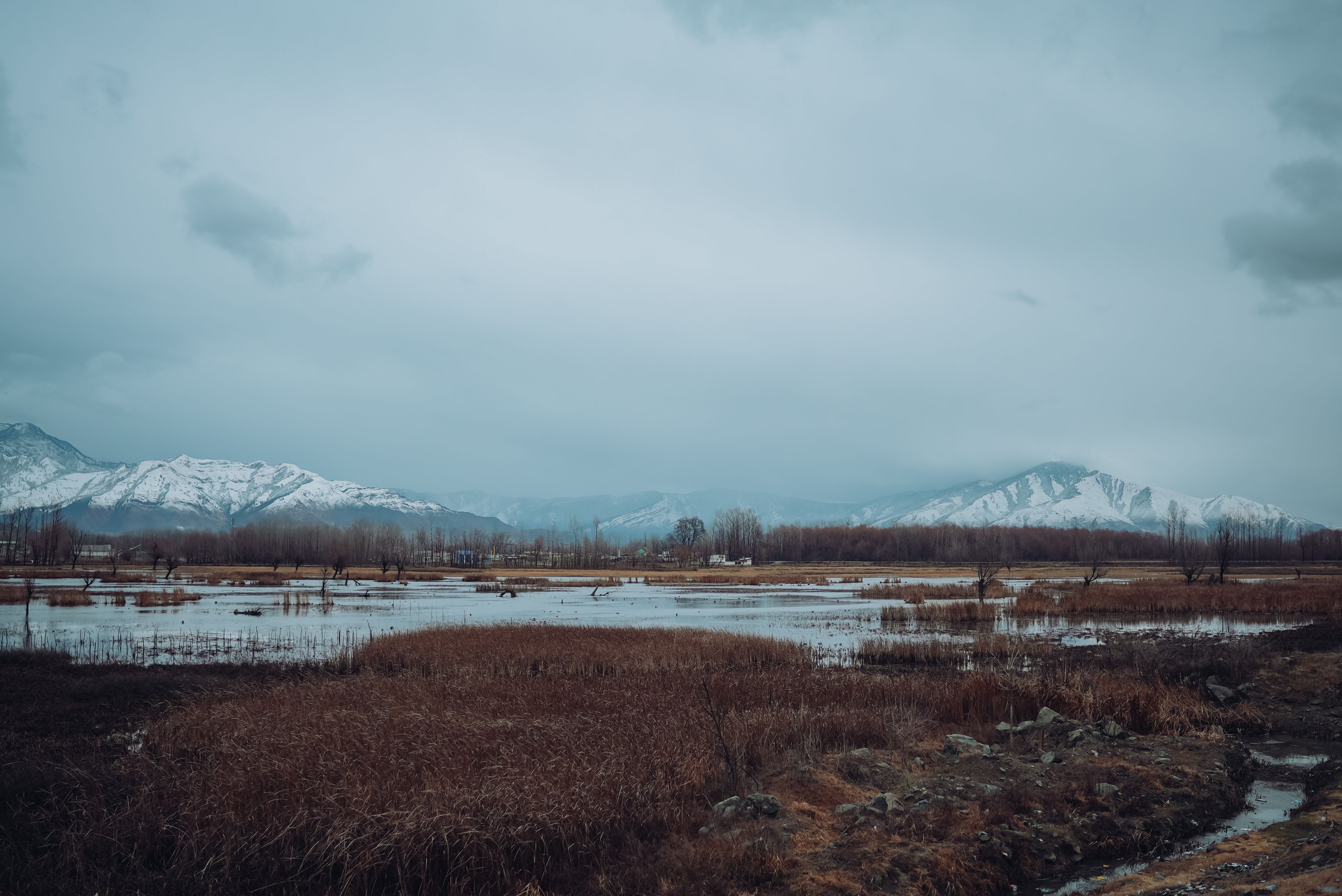 Shallabugh Wetland