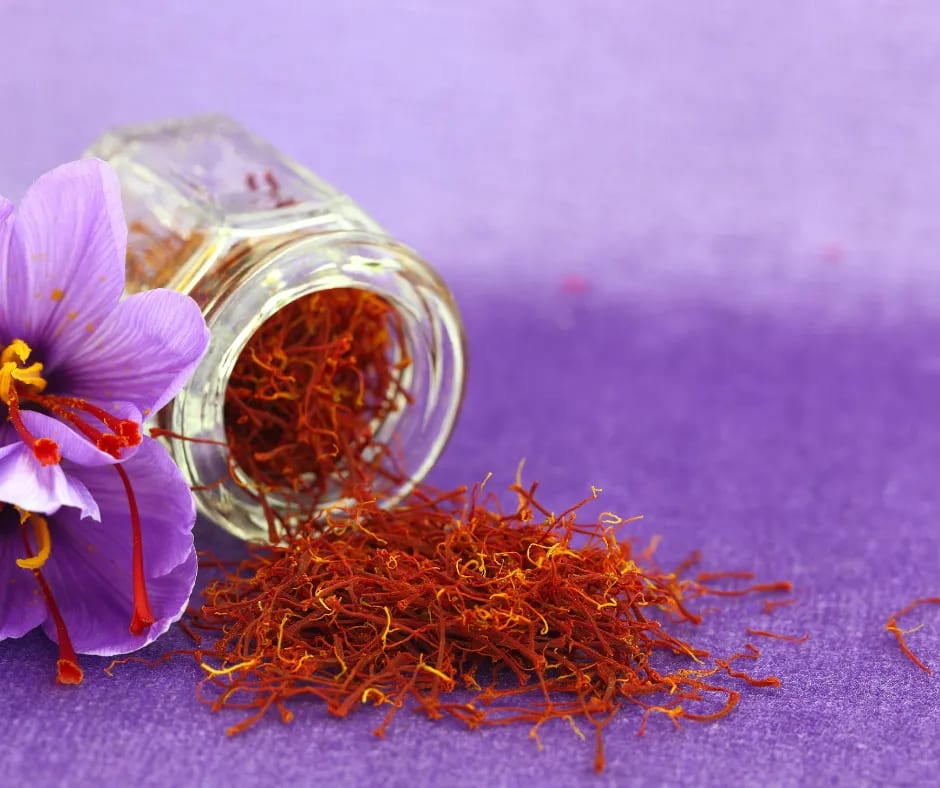 famous things in kashmir to buy