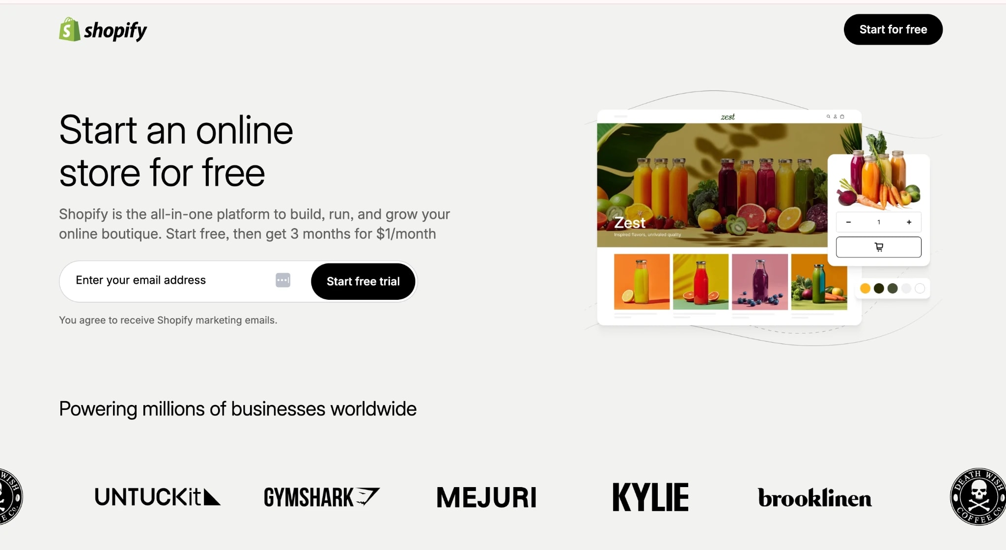 shopify maintenance