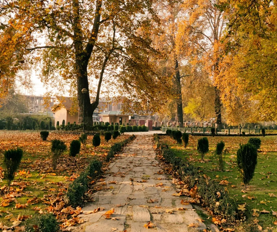kashmir in october