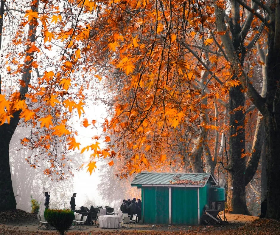 kashmir in october