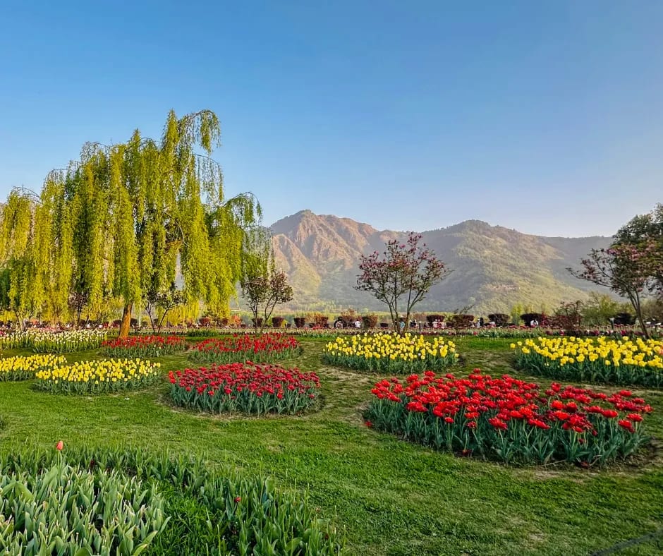 kashmir tour packages from mumbai
