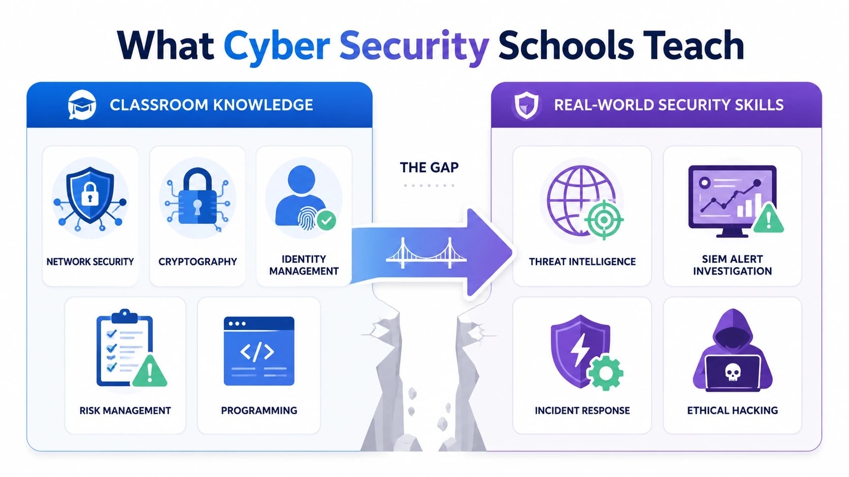 cyber security schools