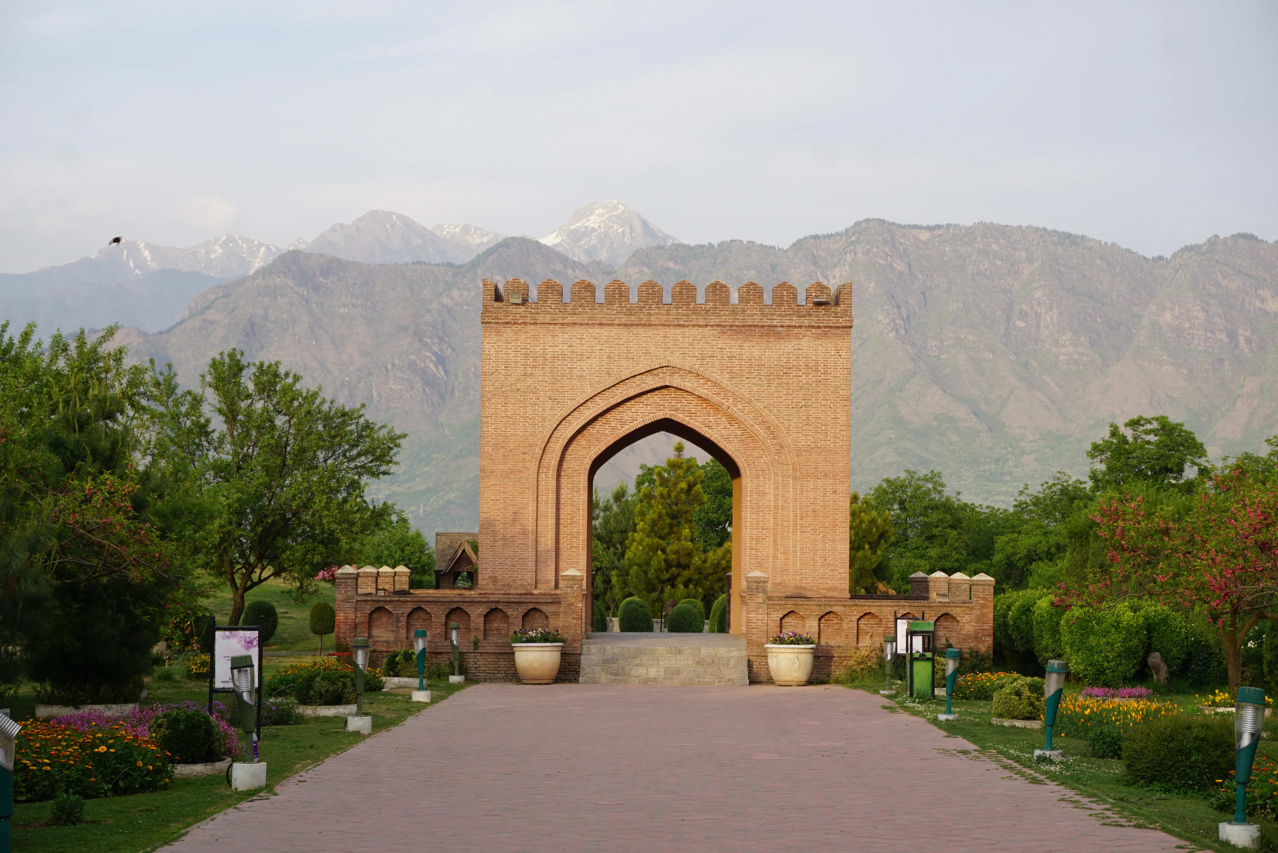 badamwari garden spring bloom kashmir