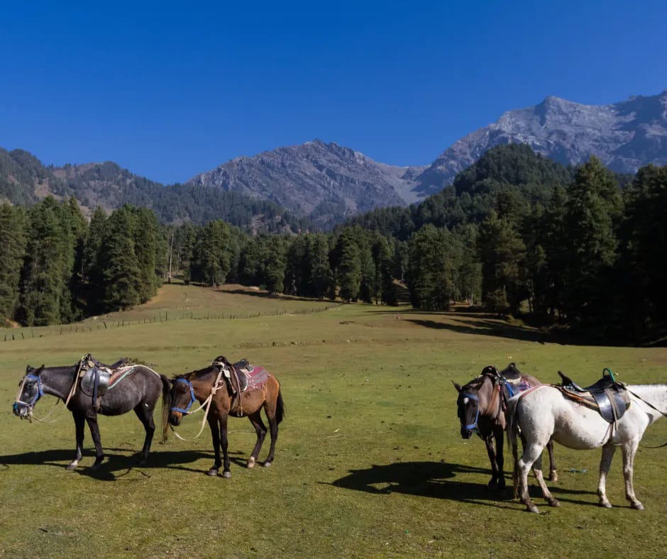 Aru Valley Kashmir
