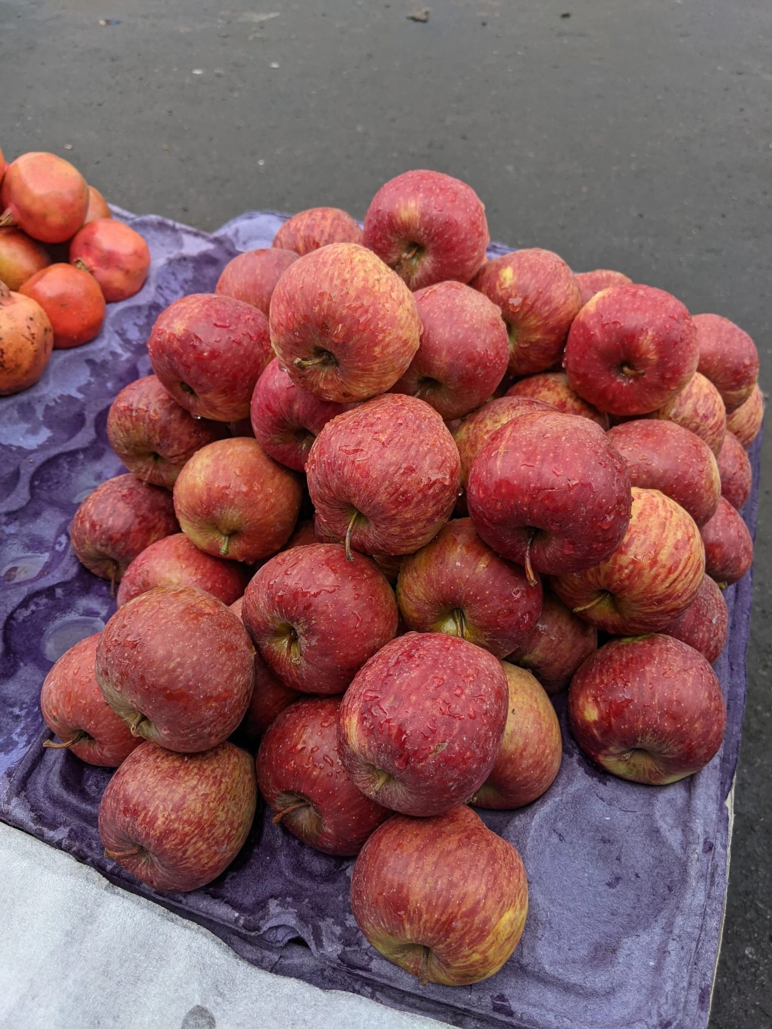Apple Season in Kashmir