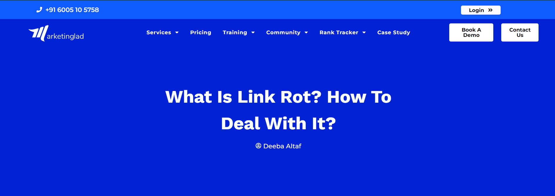 Informational page of Marketing Lad