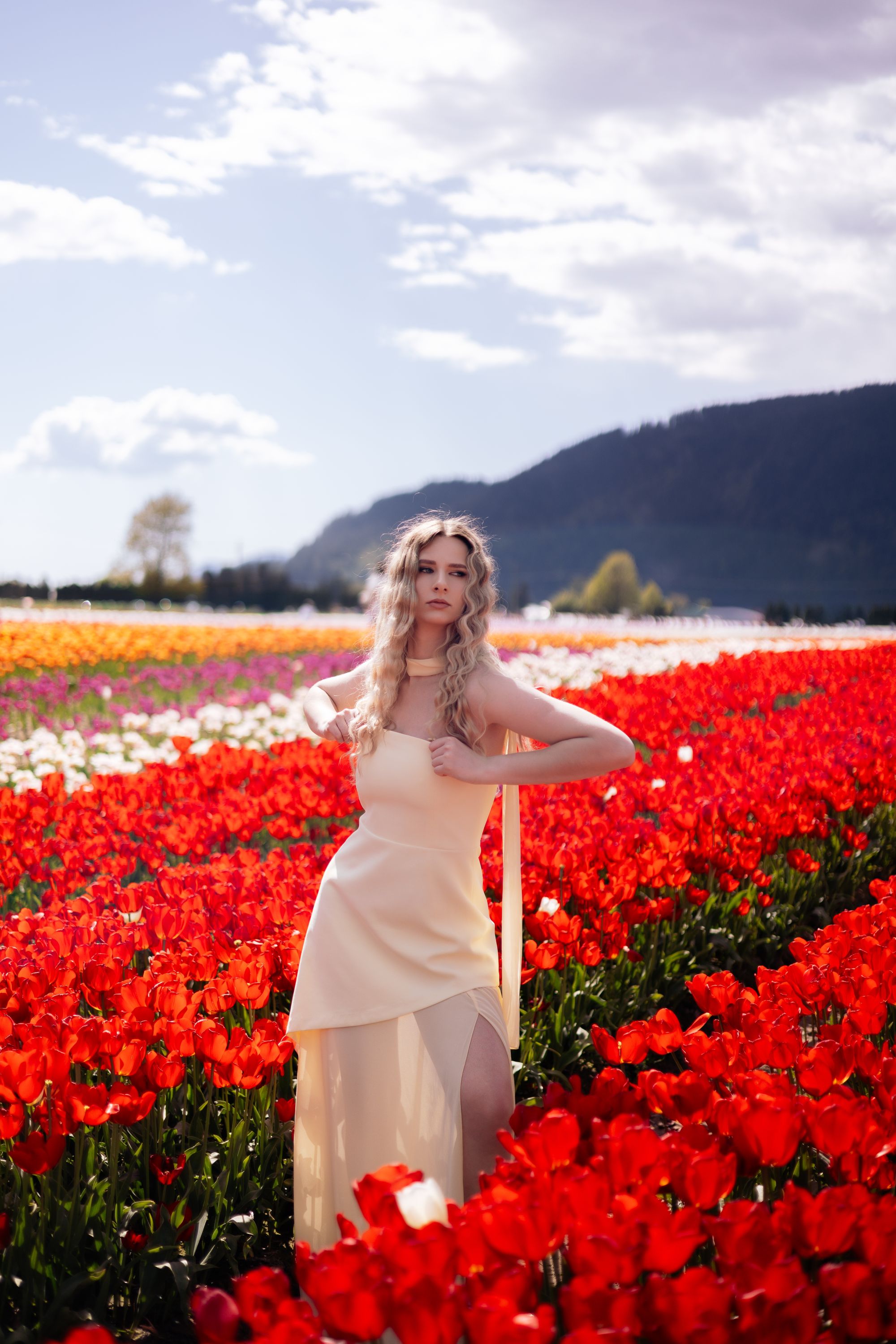 Wedding photo