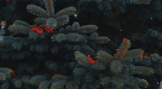 Artwork for Home for the Holidays