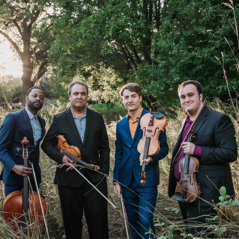 Artwork for Turtle Island Quartet