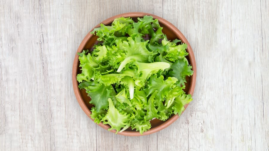 Arugula Seeds - Slow Bolt