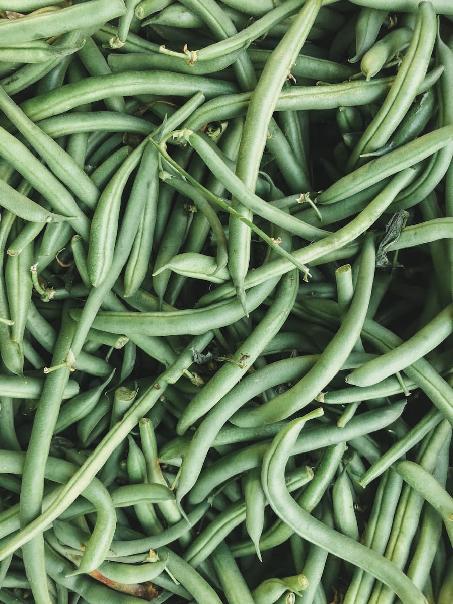 Bean Seeds - Pole - Kentucky Wonder