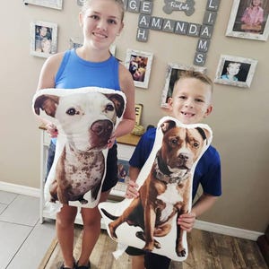 Click to view full screen Custom Pillow Shaped Pet photo review