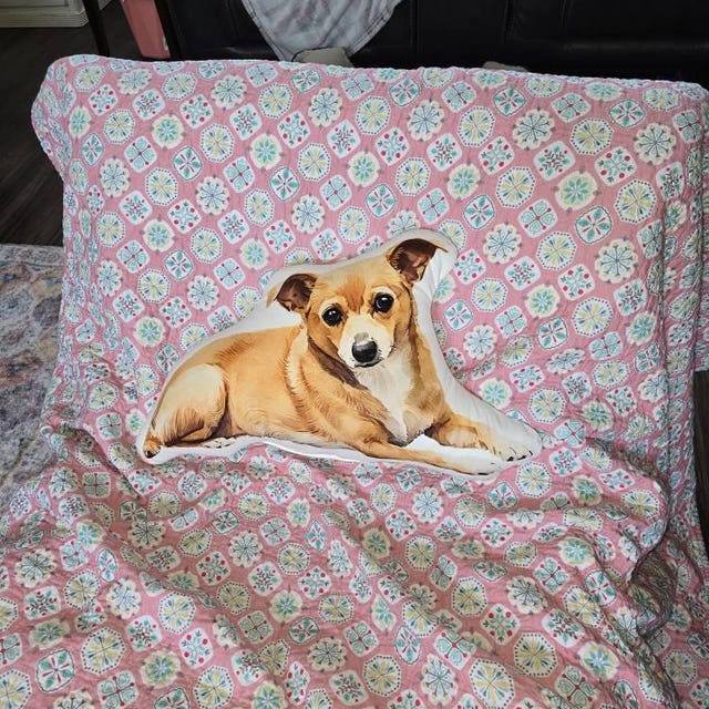 Click to view full screen Custom Pillow Shaped Pet photo review