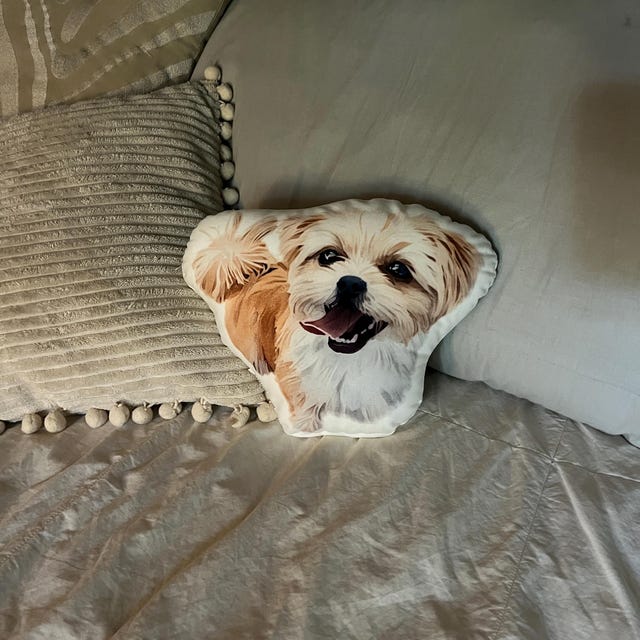 Click to view full screen Custom Pillow Shaped Pet photo review