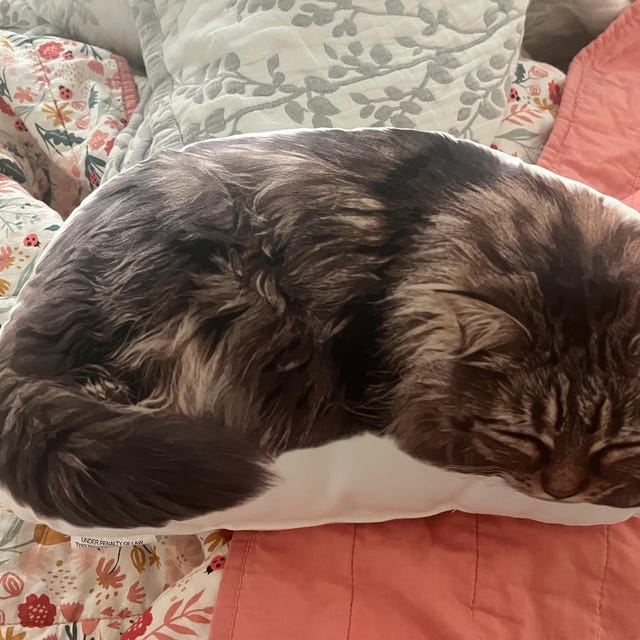 Click to view full screen Custom Pillow Shaped Pet photo review