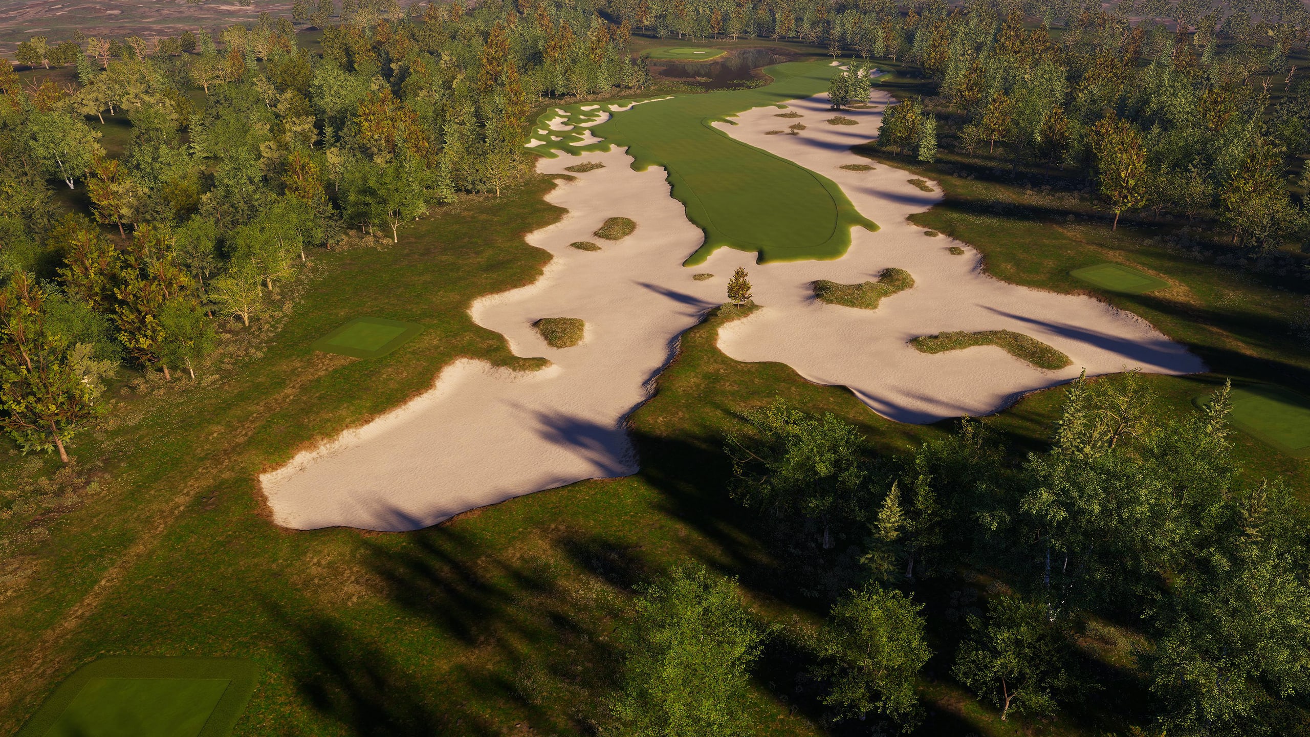An elevated view from behind on the tee box looking out over Boomerang