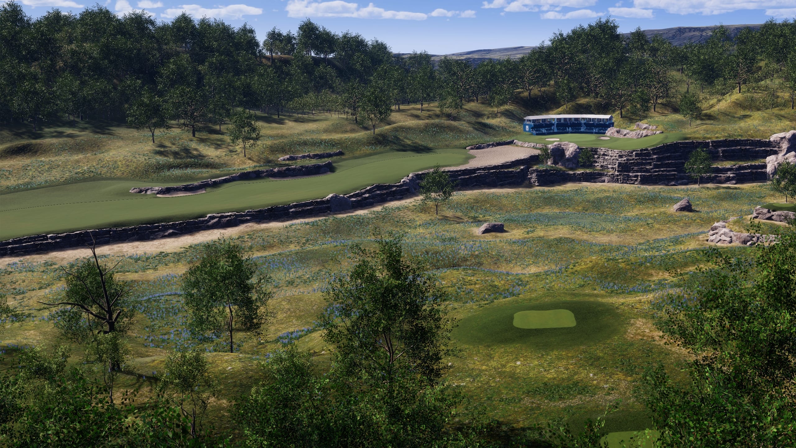 A view of Bluebonnet from behind the tee