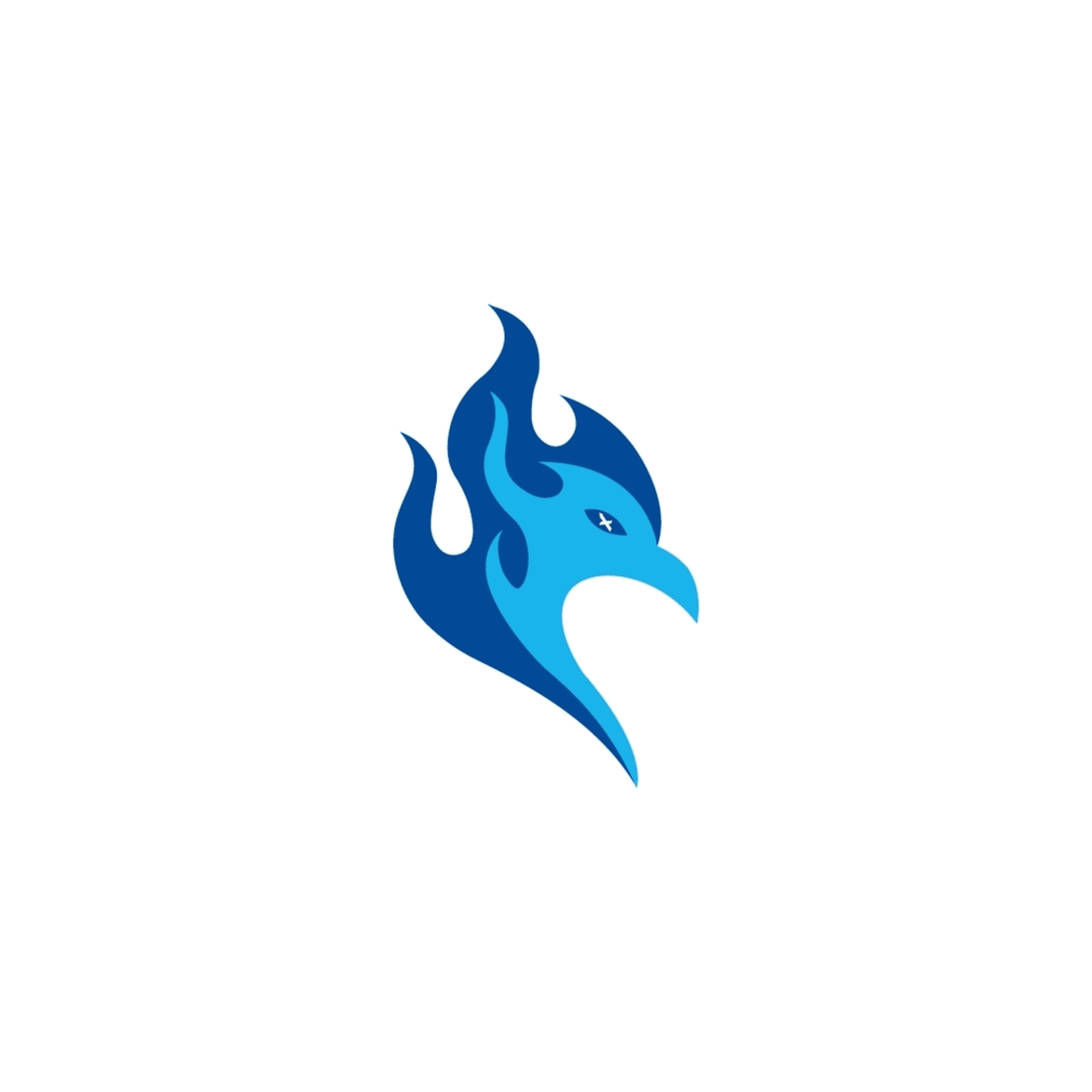 MaxFinance Fenix