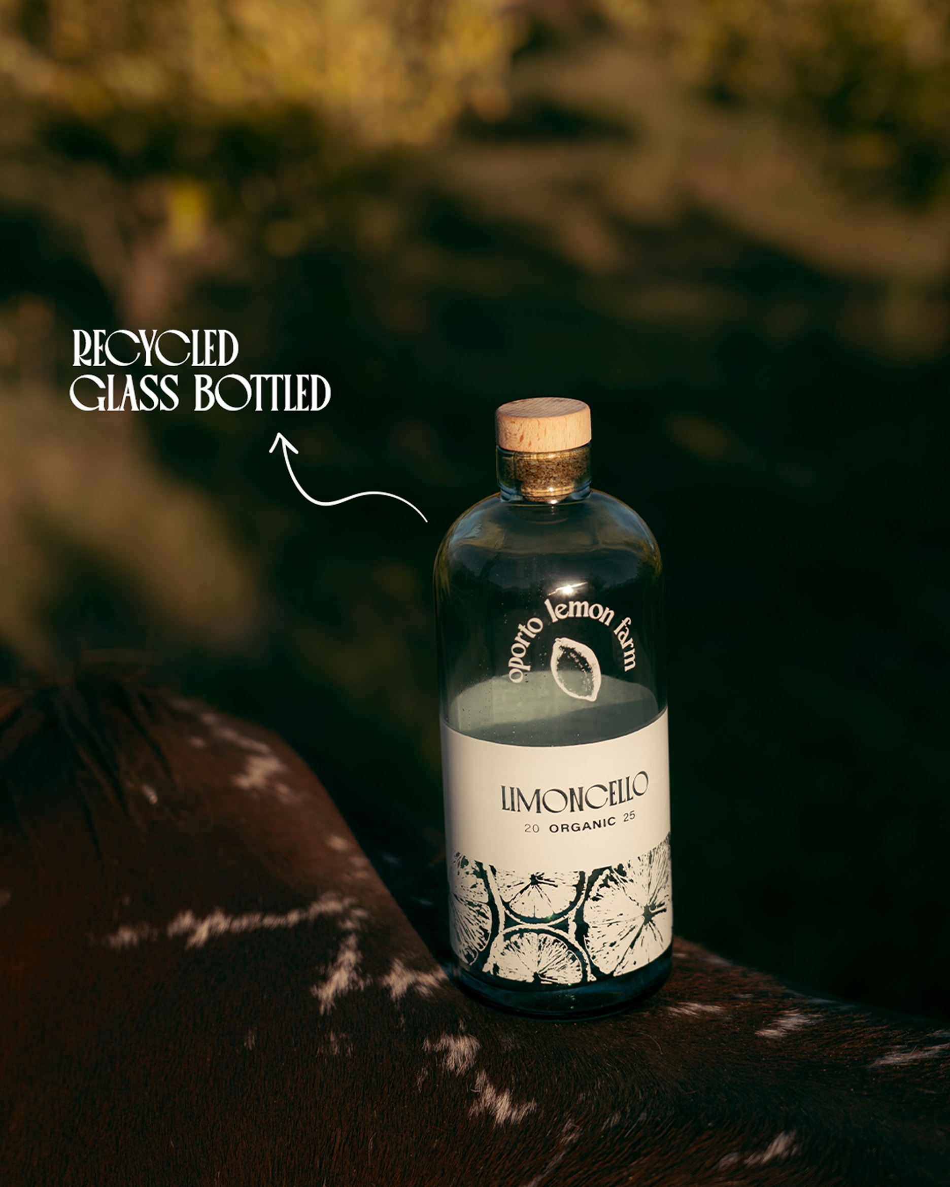 Garrafa de Limoncello artesanal com design minimalista