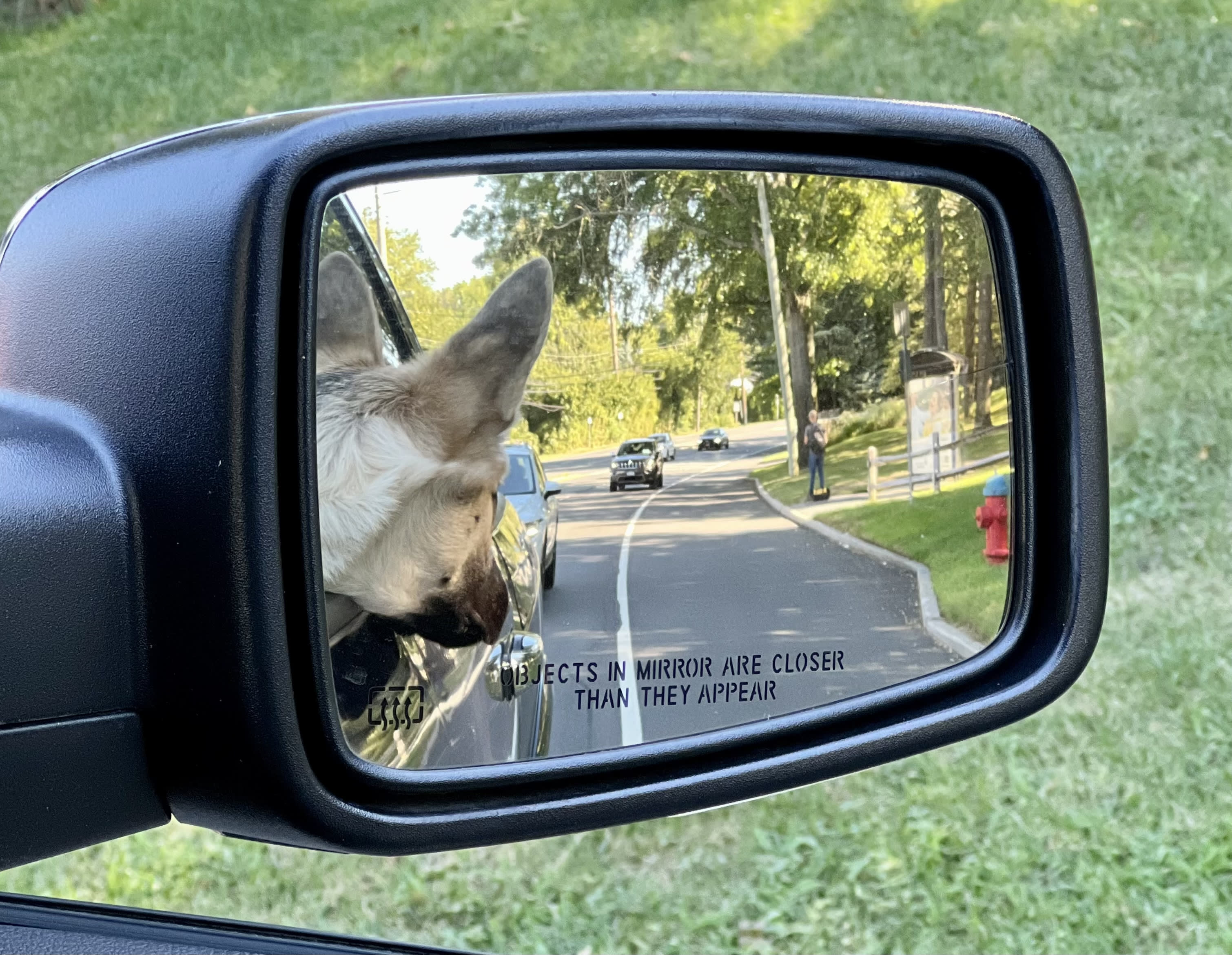 Kai in the side mirror