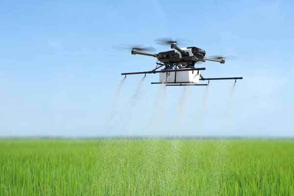 Agriculture