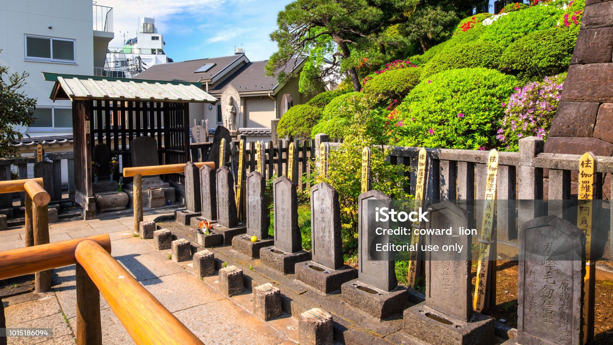 istockphoto-1015186094-2048x2048.jpg