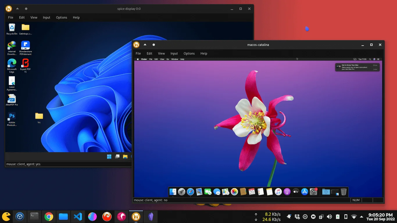 Windows VM and MacOS VM running side by side on linux