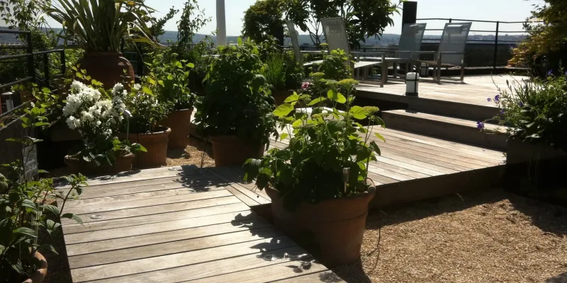 Un jardin suspendu sur les toits de la ville