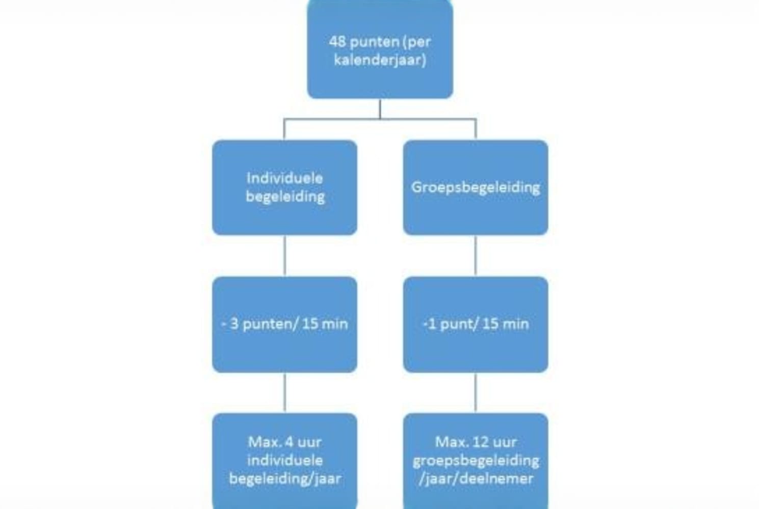 Overzicht puntensysteem
