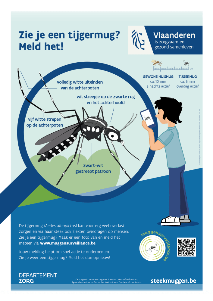 Affiche Zie je een tijgermug? Meld het!