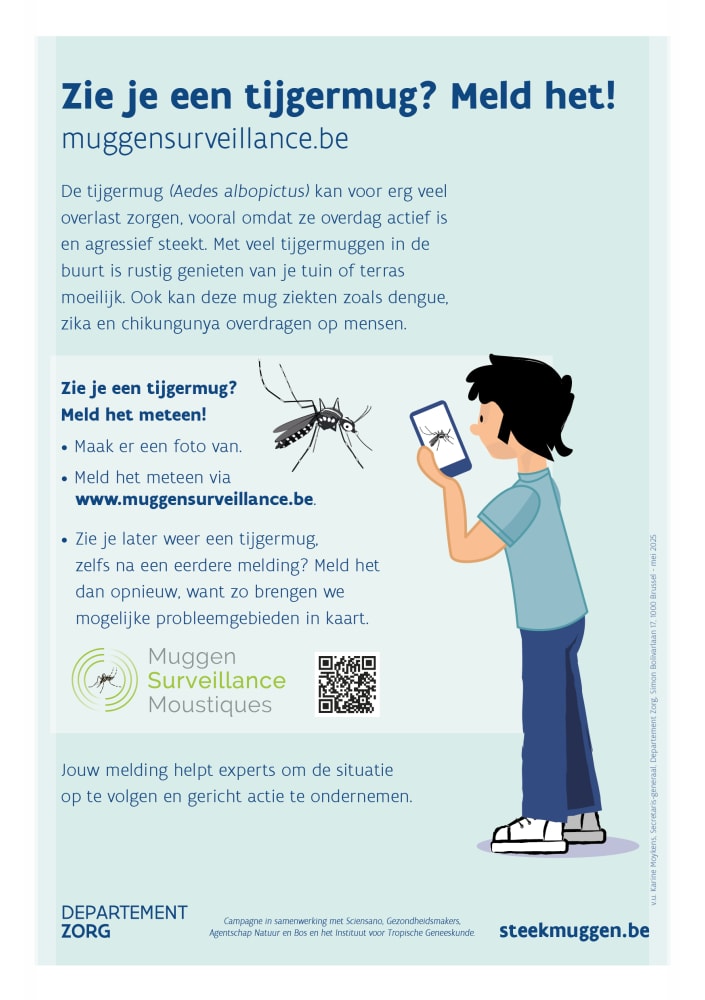 Flyer Zie je een tijgermug? Meld het! - achterkant