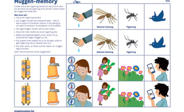 Memory campagne steekmuggen