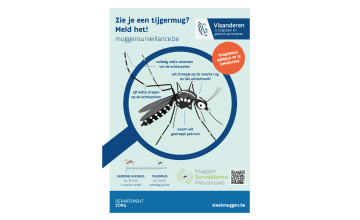 Flyer Zie je een tijgermug? Meld het!