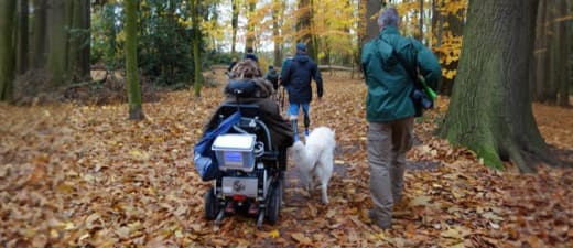Parkbos Gent: revalideren in het bos