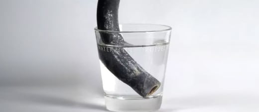Loden leiding in glas water