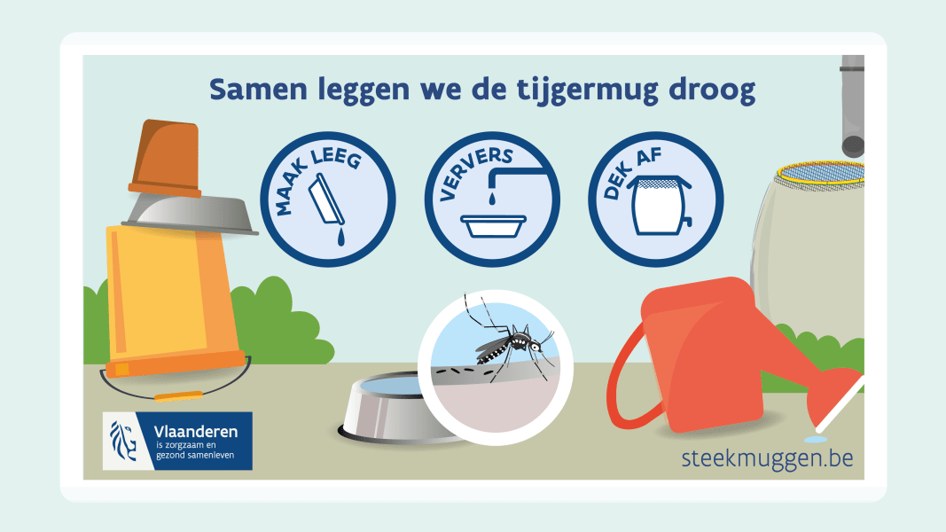 Steekmuggen - communicatie lesschermen